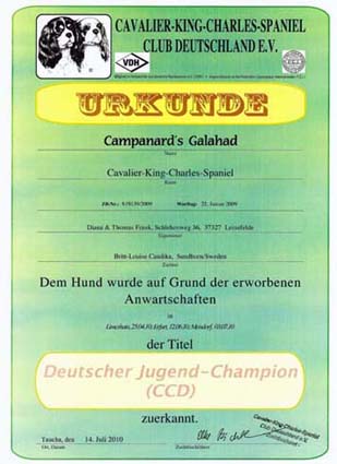 Dt. Jugendchampion (CCD) Galahad